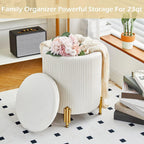 Velvet Storage Ottoman with Metal Legs